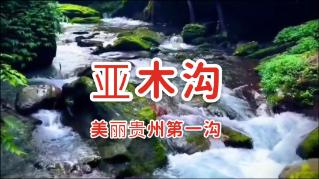 如果你身边的医院有偿招募新冠患者你会去吗？